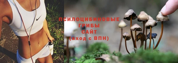 крисы Алексеевка