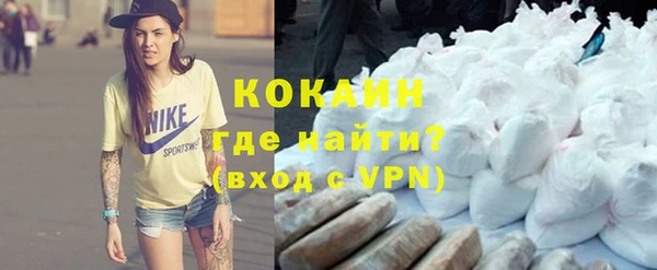 крисы Алзамай