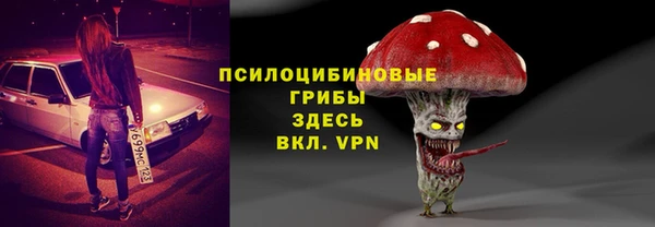 крисы Алзамай