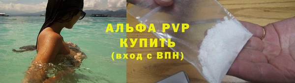 крисы Алзамай